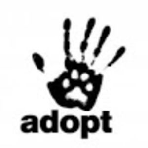 Meet your Posher, Kari